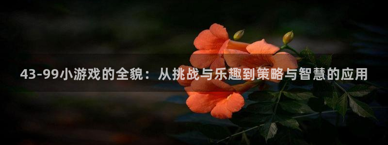 杏运娱乐注册资金多少：43-99小游戏的全貌：从挑战与乐趣到
