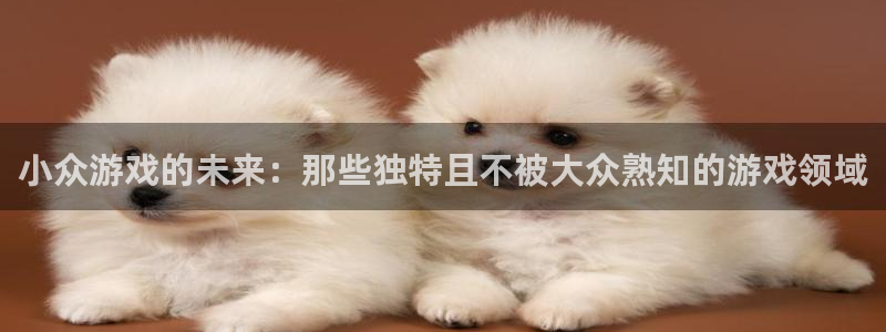 杏运娱乐注册账号入口在哪里