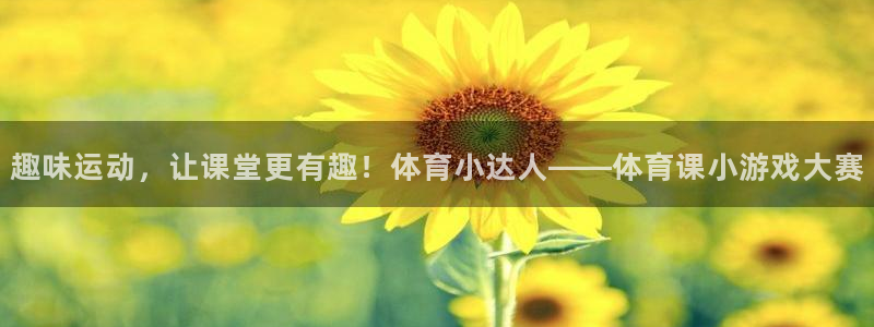 杏运娱乐怎么样