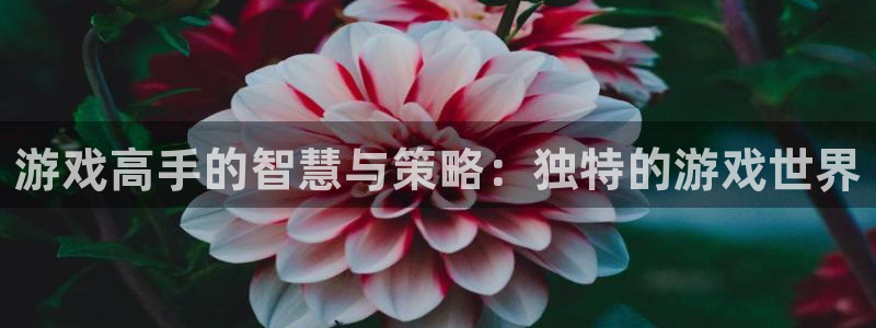 杏运体育官方网址