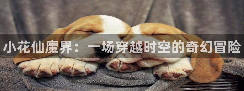 杏运娱乐注册账号入口在哪里：小花仙魔界：一场穿越时空的奇幻冒