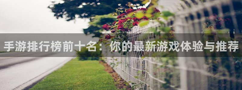杏运娱乐注册账号入口在哪里：手游排行榜前十名：你的最新游戏体