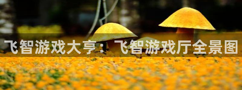 杏运：飞智游戏大亨：飞智游戏厅全景图