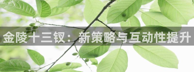 杏运体育：金陵十三钗：新策略与互动性提升