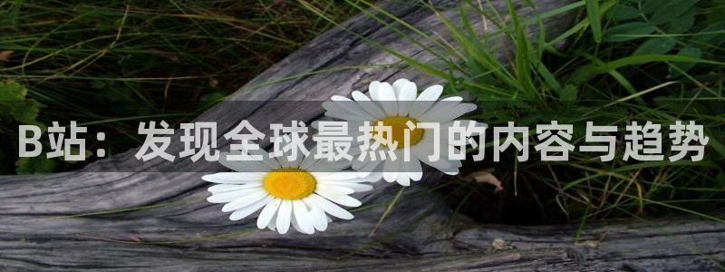 飞速直播吧jrs低调看直播nba：B站：发现全球最热门的内容与趋势