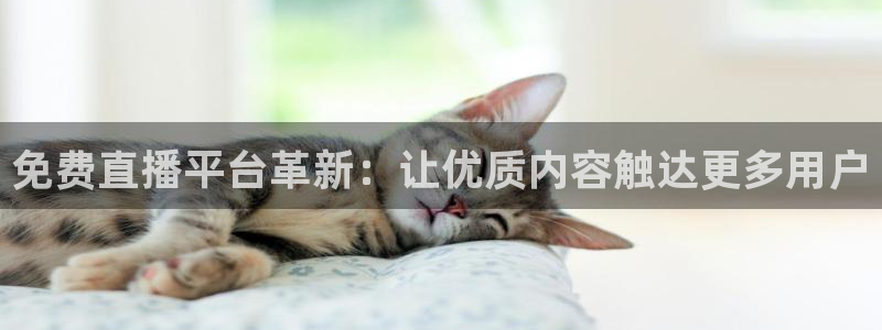 飞速体育直播大厅：免费直播平台革新：让优质内容触达更多用户