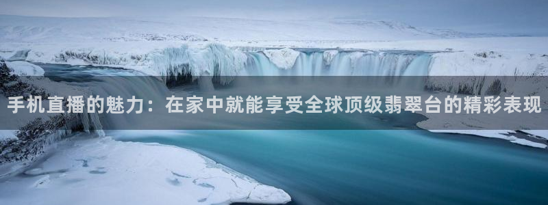 飞速看球：手机直播的魅力：在家中就能享受全球顶级翡翠台的精彩表现