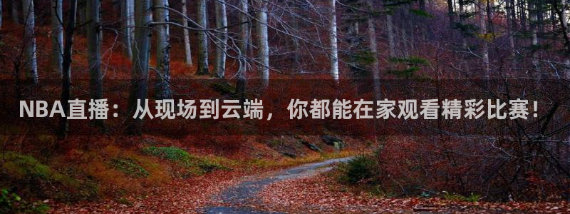 极速体育飞速直播：NBA直播：从现场到云端，你都能在家观看精彩比赛！