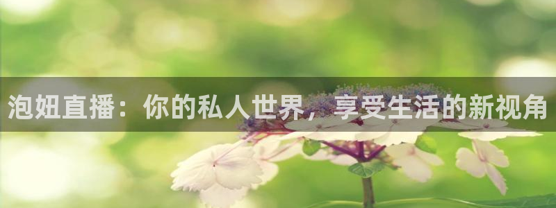 飞速直播nba免费直播在线观看高清：泡妞直播：你的私人世界，享受生活的新视角
