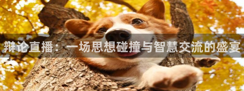飞速直播在线直播
