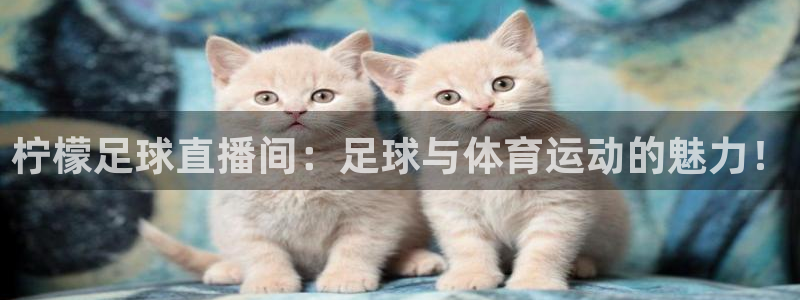 飞速体育免费直播