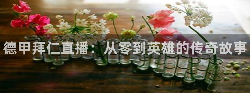 飞速nba直播在线观看：德甲拜仁直播：从零到英雄的传奇故事