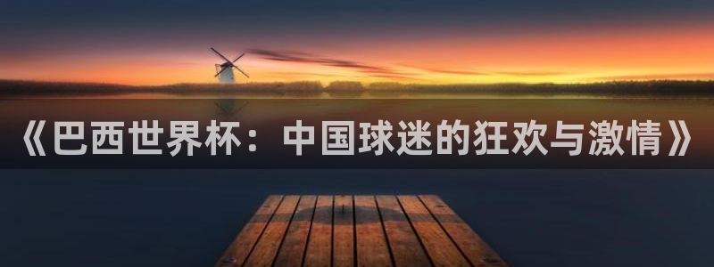 飞速直播足球：《巴西世界杯：中国球迷的狂欢与激情》