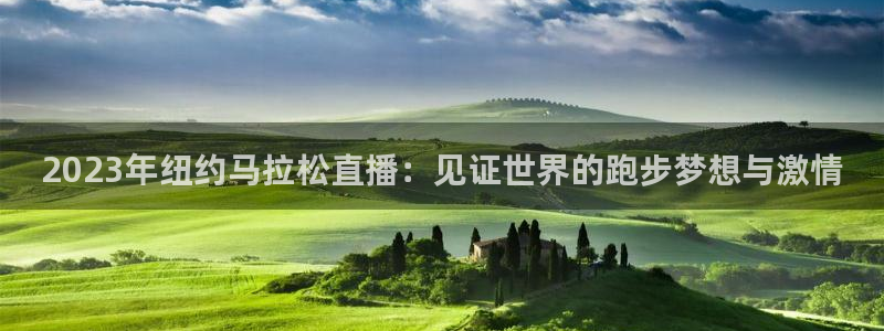 飞速nba直播在线直播：2023年纽约马拉松直播：见证世界的跑步梦想与激情